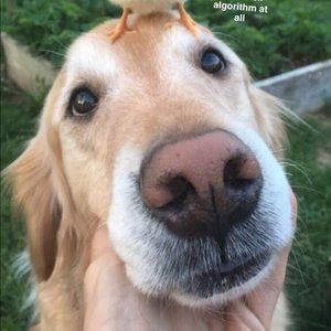 Meet your Posher, Michael